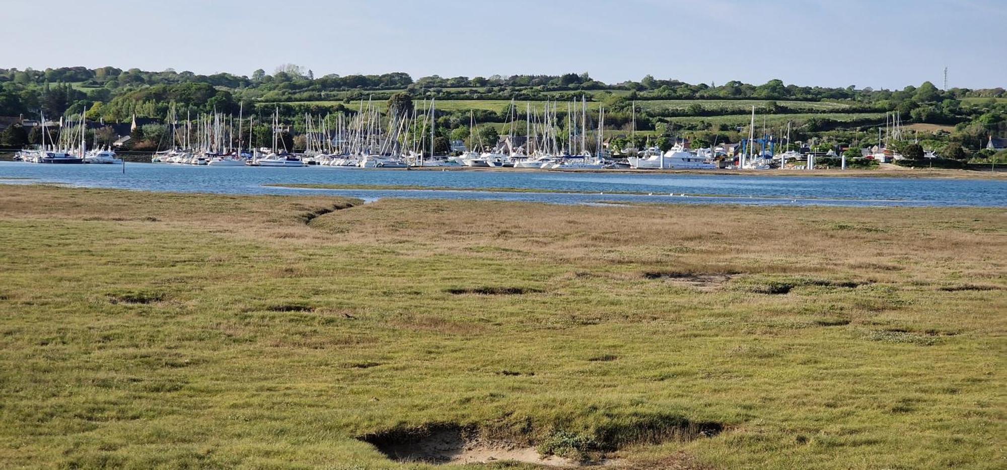 Le Dy En Fleurs Villa Saint-Maurice-en-Cotentin Bagian luar foto